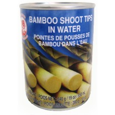 Canned Bamboo Shoot Tips 